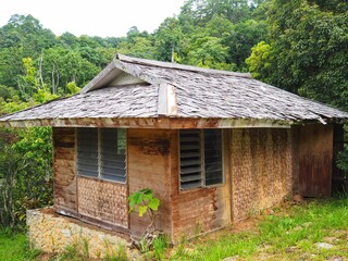 old house in the woods