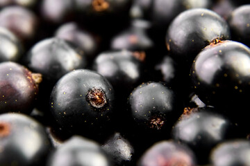 Black currant fresh berries texture