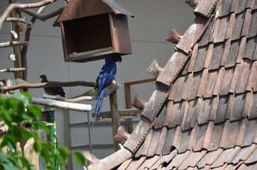 Obraz premium nature