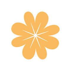 gold flower element decoration line design