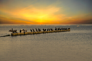 Sonnenaufgang, Sonnenuntergang an der Ostsee auf der Insel Rügen
