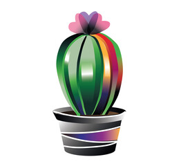 cactus in a pot