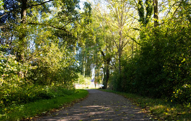 Path through a wooded area on a sunny day with blue skies, taken in early fall in Germany
