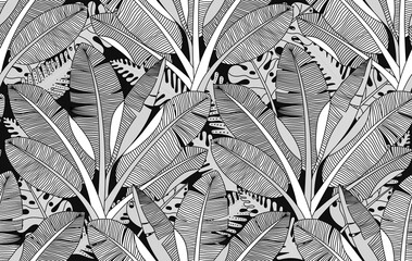 Black and white exotic plant and palm tree  botanical illustration. Bananas tree vector seamless pattern. Tropical plants and trees adult colouring zentangle book page.