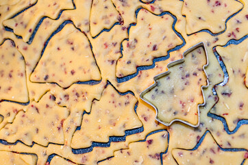 Fototapeta premium Christmas Cookies