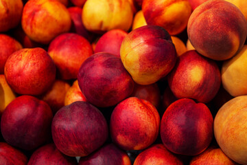 Lots of bright juicy nectarines. Healthy food and vitamins. Close-up.