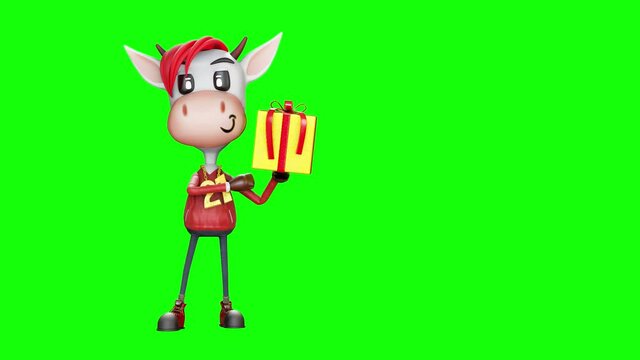 3d characters animation of the cute adorable cow wearing a red long sleeve shirt with number 21 for new year season 2021 and yellow gift box on green screen background and luma matte section.