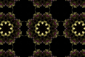 abstract colorful seamless pattern with floral motifs from flowers and leaves. High quality photo