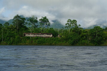 Wonders of the Amazon Rainforest in the Viceroyalty of Peru