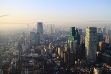 Fototapeta premium 東京都心シルエット