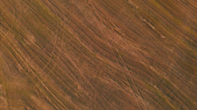 The texture of the autumn fields, the drone flies forward, 4K video. Traces, patterns from working equipment on farm land afte