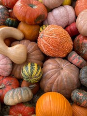 pumpkin decoration at park and October time.