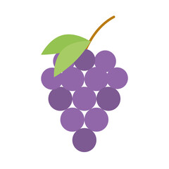 bunch grapes fruit nature fresh flat icon