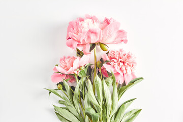 wedding concept. beautiful pink peonies on a white background. simple layout for an invitation. top view, flat lay