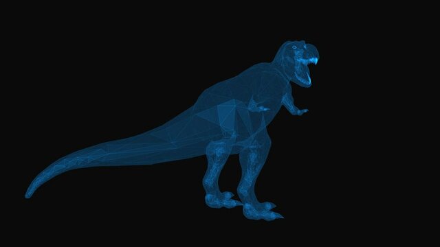 T-Rex wireframe with thin blue lines. Dinosaur skeleton on black background. Loop rotation animation