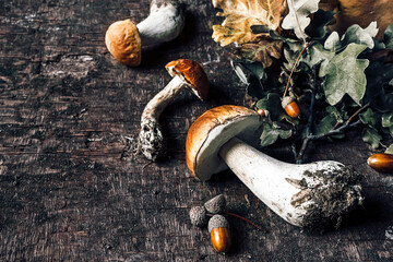 Obraz premium Autumn composition with porcini mushrooms, acorns and oak leaves on dark old wooden background