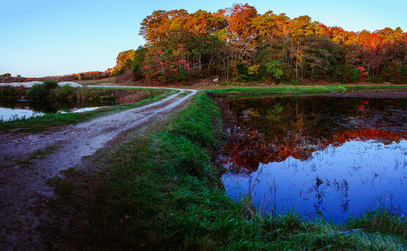 Dirt road in colorful cranberry bog with mirror-like reflections on the pond water surface on Cape Cod in Massachusetts