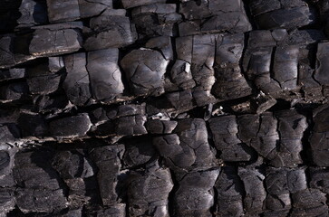 Burned Log