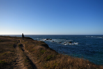 hiking path along california coast with blue skies and blue ocean