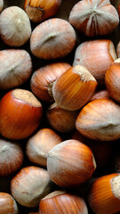 Macro shot of many Hazelnuts in nutshell. Concept of autumn harvesting. Natural and organic food full of vitamins. Seasonal vegetarian nutrition. Suitable for mobile phone wallpaper. Vertical image.