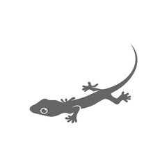 Lizard logo design vector template, Illustration design Lizard, Symbol Icon
