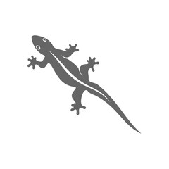 Lizard logo design vector template, Illustration design Lizard, Symbol Icon