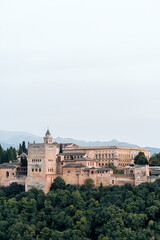 Fototapeta na wymiar The Alhambra of Granada.