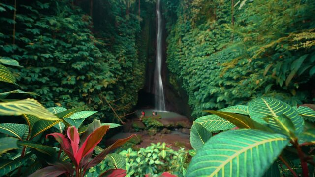 Beautiful Waterfall hidden in tropical rainforest jungle on nature background. 4K