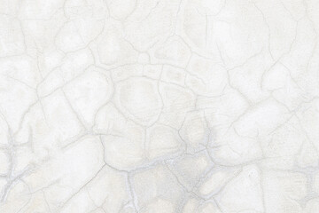 abstract of cement cracked texture on old white masonry wall