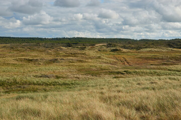 Obraz premium Dune landscape with green grass and cloudy sky in Denmark.