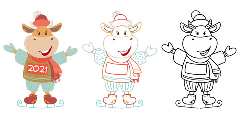 Cute cartoon cow. Vector illustration with bull, symbol of the Chinese new year 2021. Cow on ice. Coloring pages.