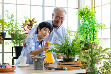 Asian senior man and young boy gardening together. Grandfather and grandson happy working in glasshouse with plants. Multi generation activity and family relationship concept.