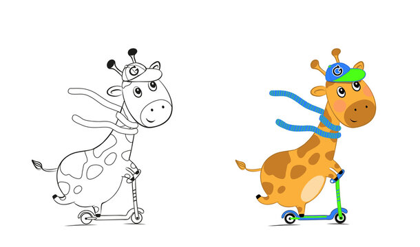 Vector illustration of a small cute giraffe on a scooter isolated on white background.Children's coloring book.