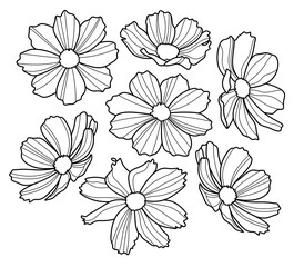 Coloring antistress page for adults 
and children. Cosmos flowers set