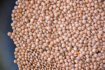 Healthy grains, green lentils and full of vitamins