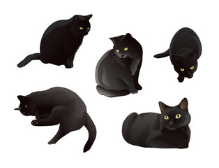 Set of isolated black cat paintings