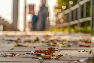 Fallen leaves on the sidewalk in the autumn city Park on a Sunny day