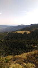Naklejka premium landscape with mountains