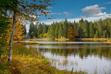 Herbstlicher Lac de Lispach in den Vogesen