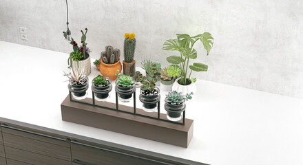 Succulents, indoor ornamental plants in pots, 3d rendering, 3d illustration