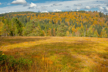 Fototapeta premium Herbstlicher Lac de Lispach in den Vogesen