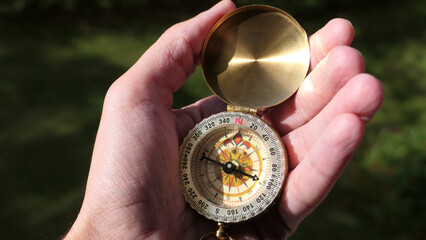 Person in forest using a compass to find direction © dragancfm