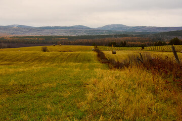 Autumn and its colors on the farm