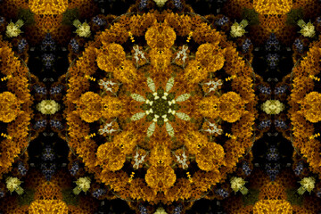 abstract colorful seamless pattern with floral motifs from flowers and leaves. High quality photo
