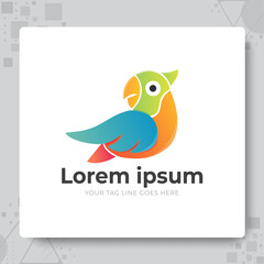 Obraz premium cute parrot colorful logo vector template