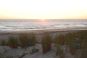 plage et v&eacute;g&eacute;tation