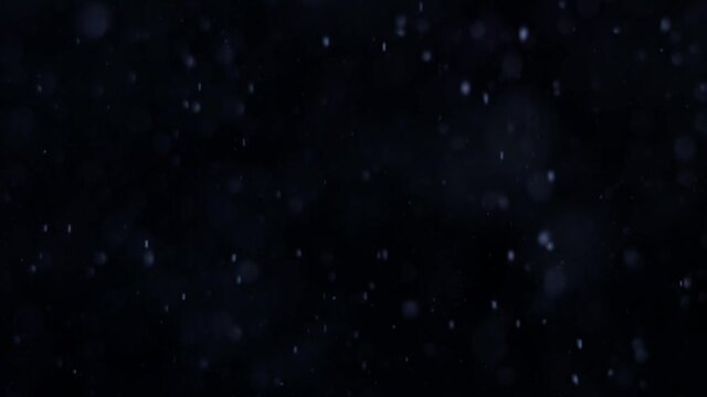 Snow Falling Stock Footage In Black Background