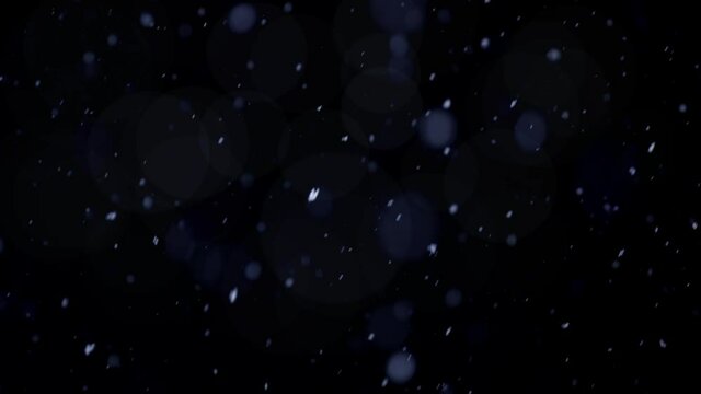 Snow Falling Stock Footage In Black Background