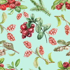 Lingonberry berries. Hand-drawn watercolor pattern. Bright beautiful print, textile, background. forest. Cotton, snowberry, spruce, pine, branches and cones. Seamless pattern Sketch, retro, vintage. F