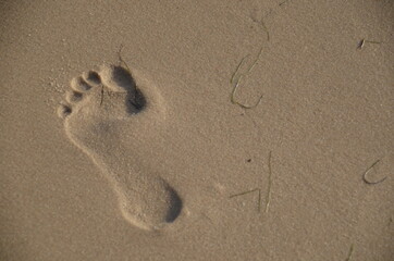 one footprint in the sand